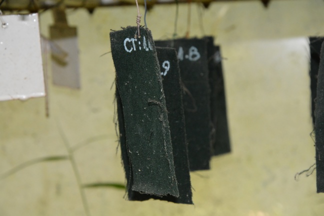 Thử nghiệm tự nhiên các mẫu vải