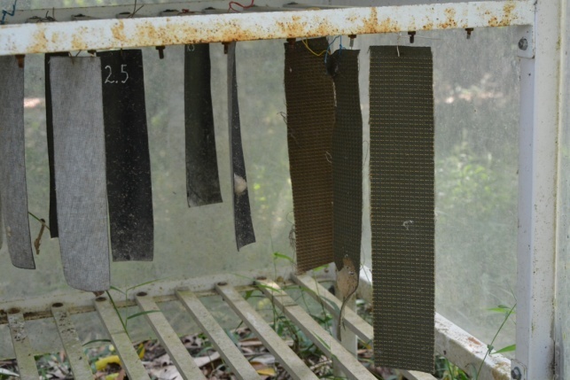 Thử nghiệm tự nhiên các mẫu vải